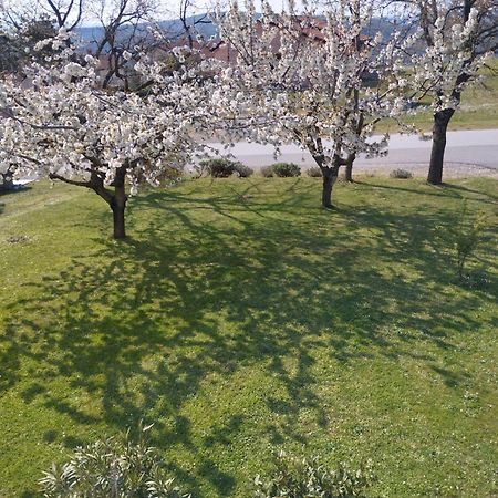 RočDaalアパートメント エクステリア 写真